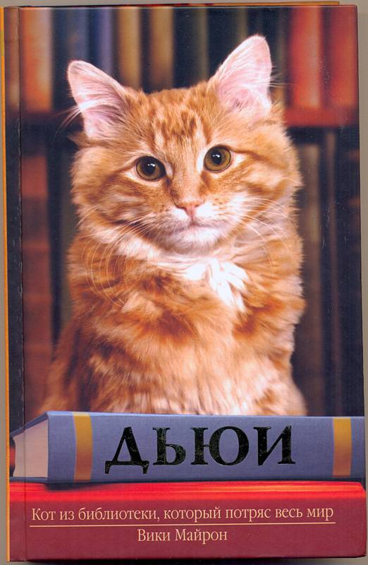 Скачать бесплатно книгу дьюи кот из